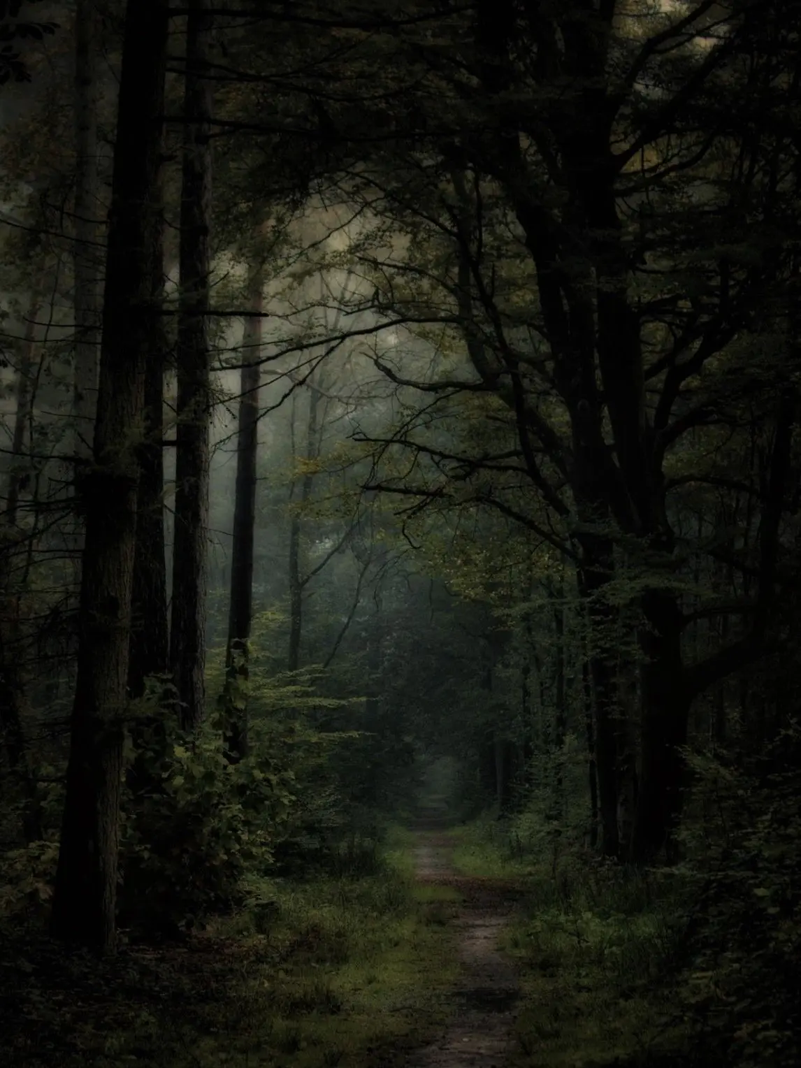 BleakSwan0750의 Childhood Echoes