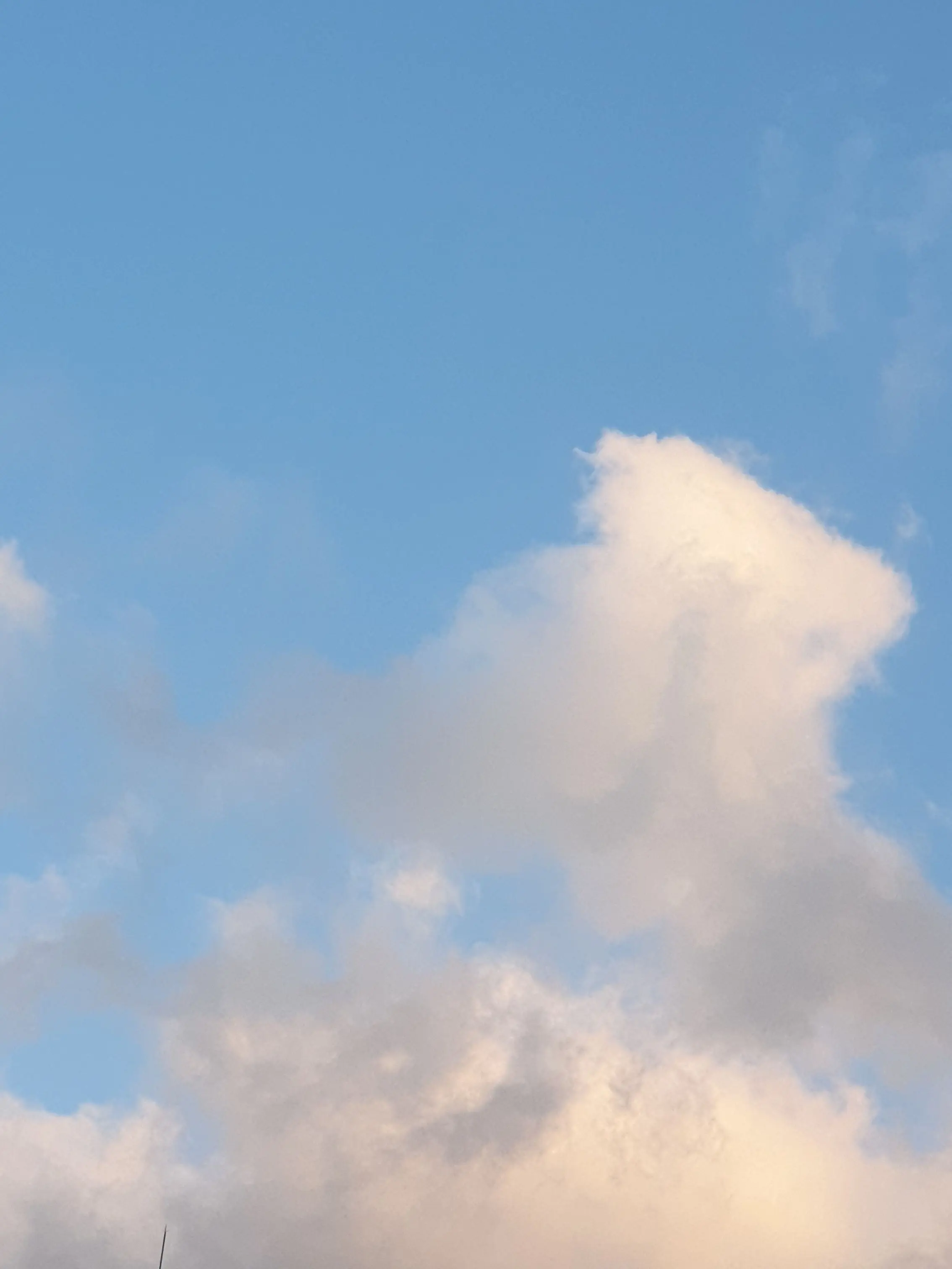 titititi의 맘대로