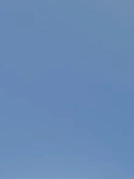 PlumpSeat0793의 서진혁