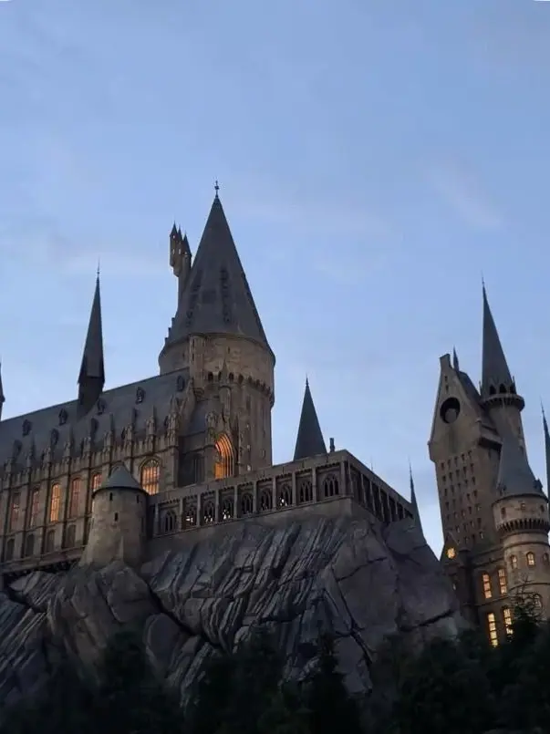 HomelyWage4486의 Harry Potter