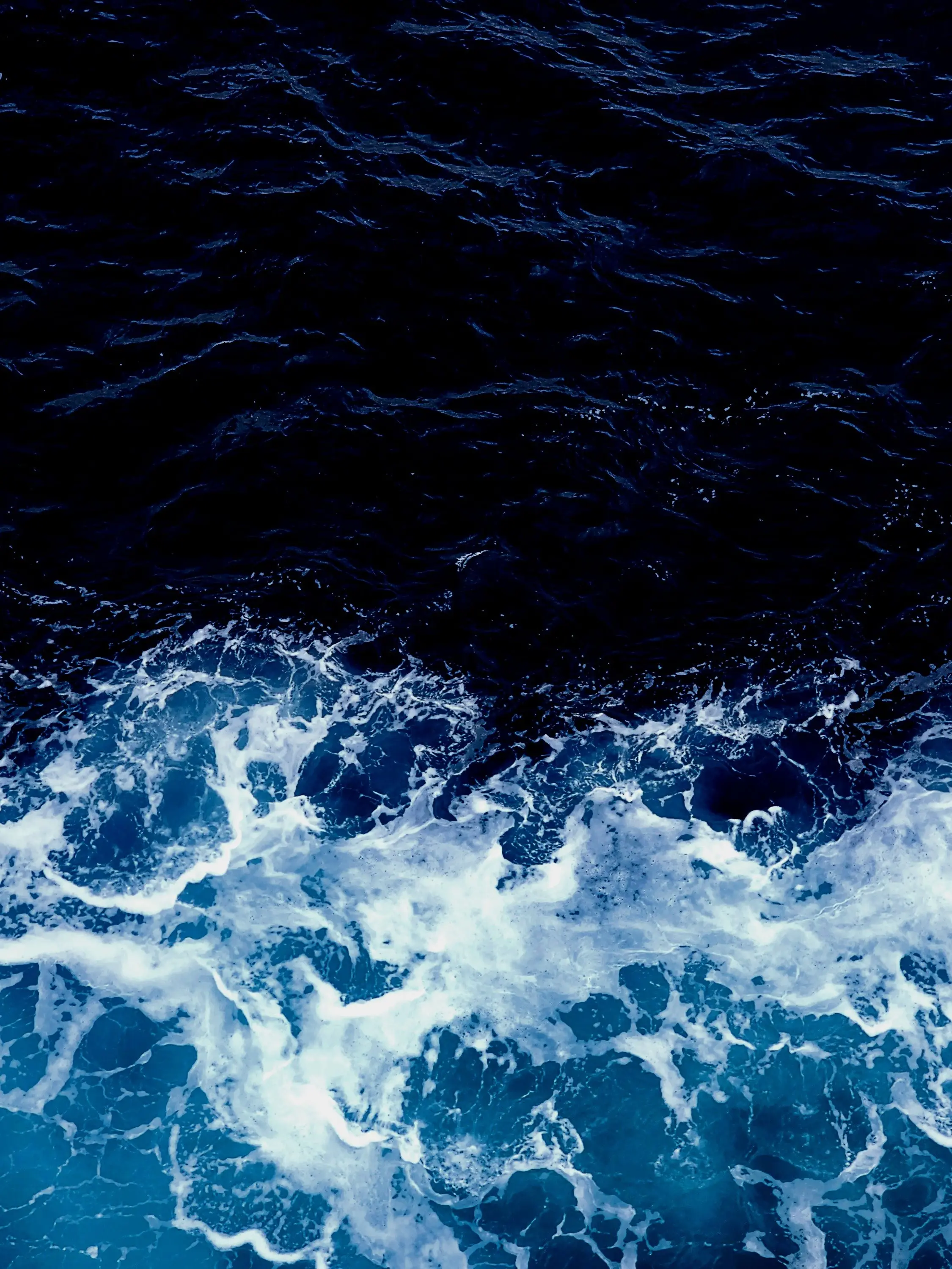 JerkyBee8710의 🌊🌺