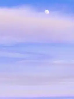 TrendyLever4569의 身構えておいてよデイジー。