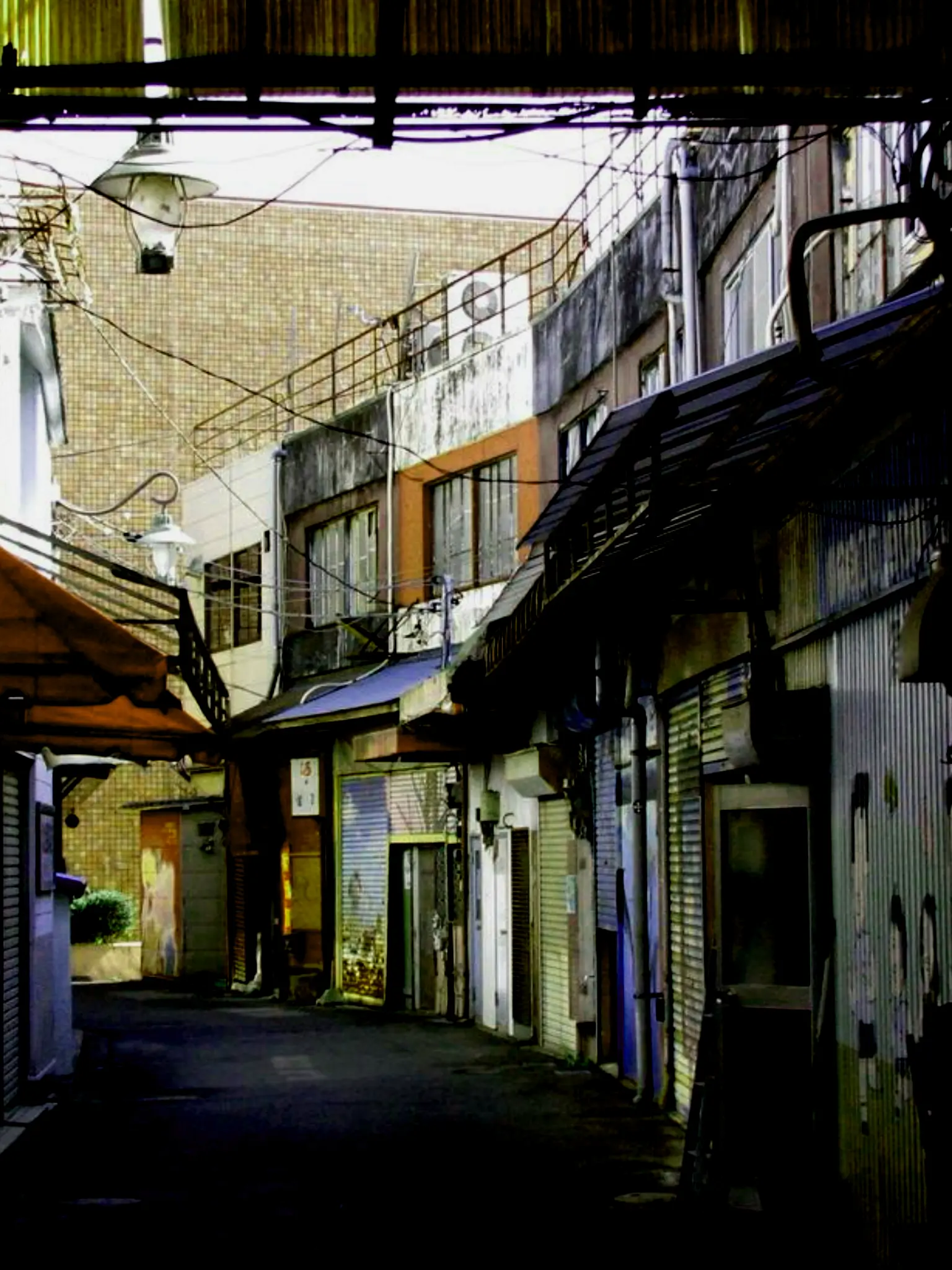 0_o.의 Bio-radiation infect