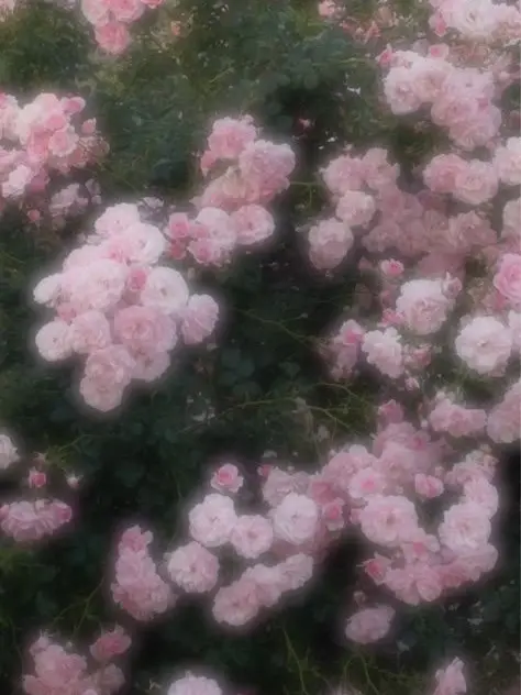 mon_l의 幼馴染のアピール