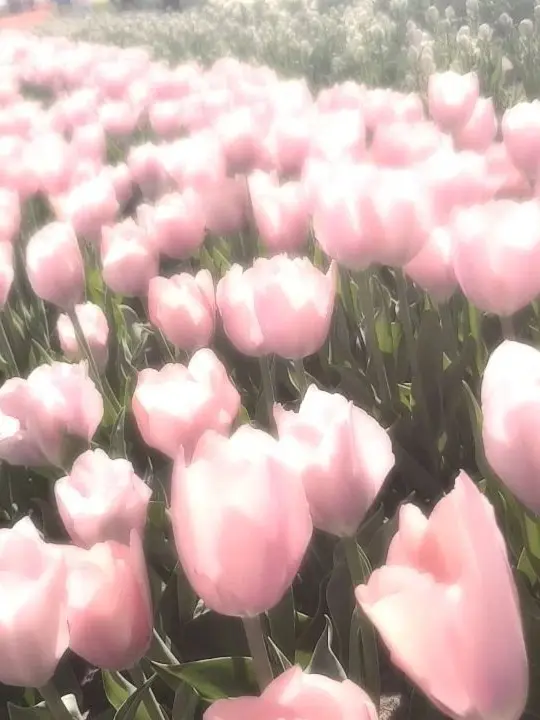 Luminous_love의 고규민