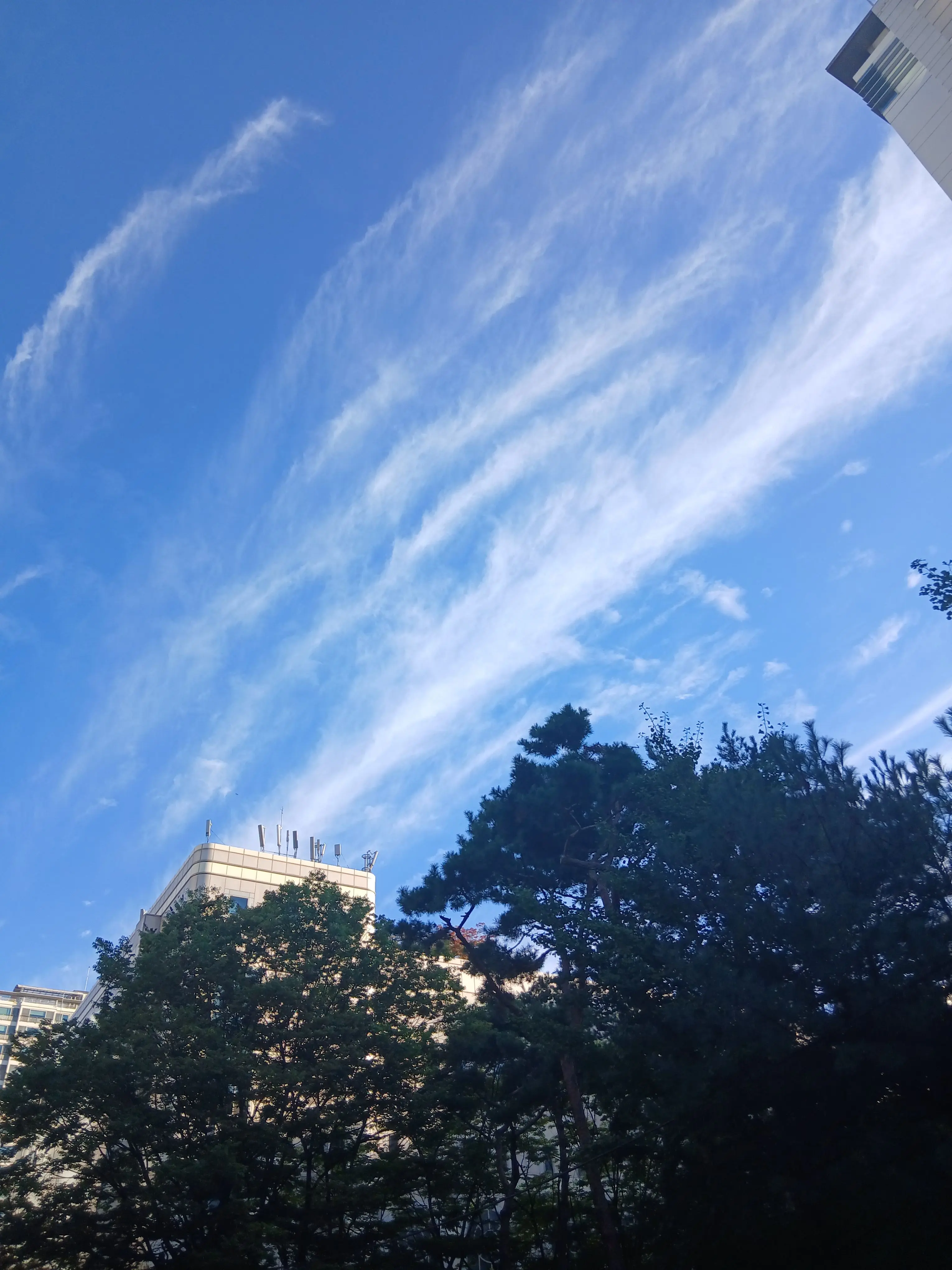 PastelSaiga6947의 뜰팁학원의 7대 불가사의