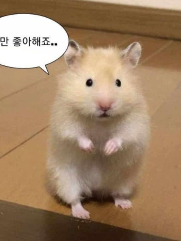포세이큰 학교+늑대 대표 이미지