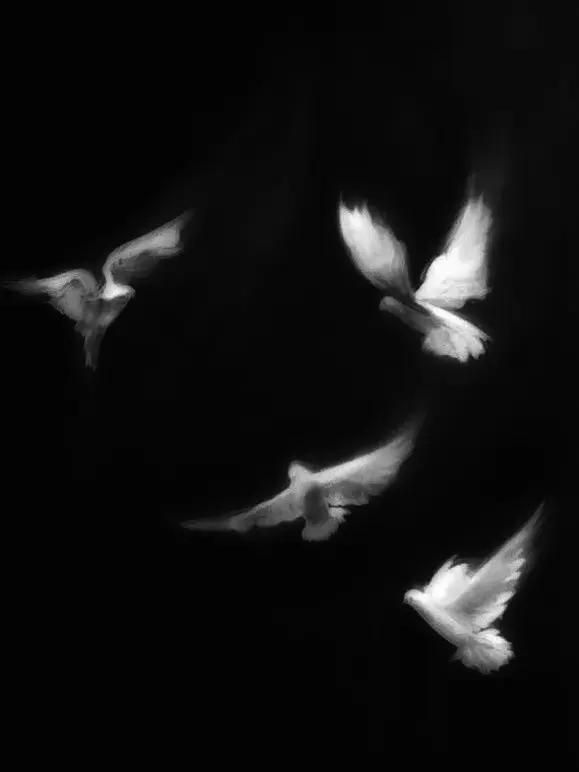 RaspyDisc9694의 반란 斑爛