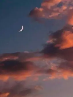 ExpertPasta5199의 배우와 아이돌