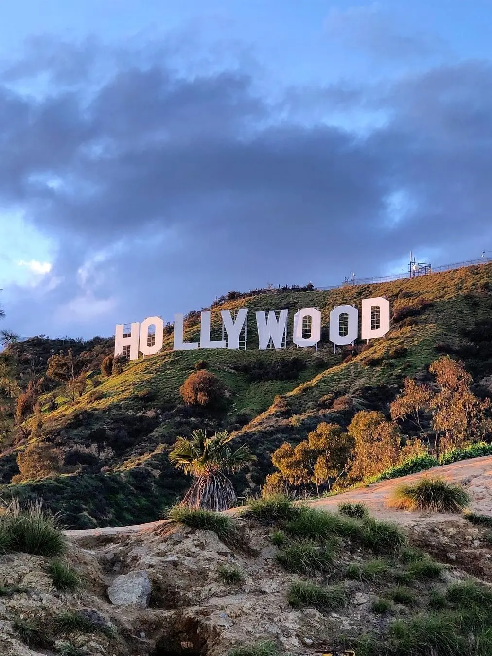 homewrecked의 003 — HOLLYWOOD SPOTLIGHT