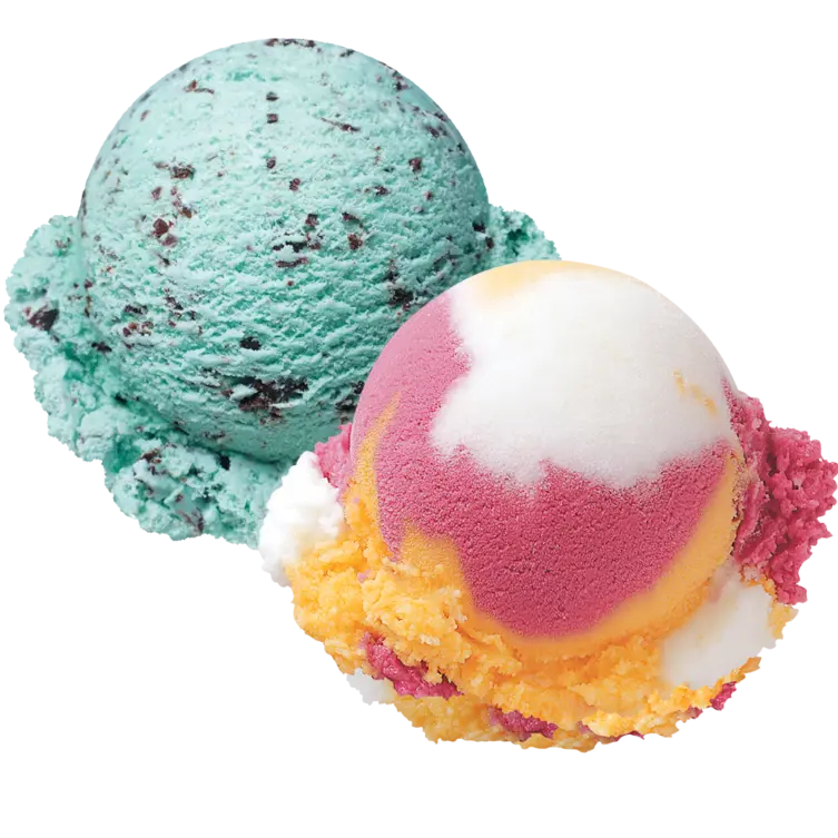 ENFP.49watermelon의 민초랑(레샤도) 같이 이야기 한다면?