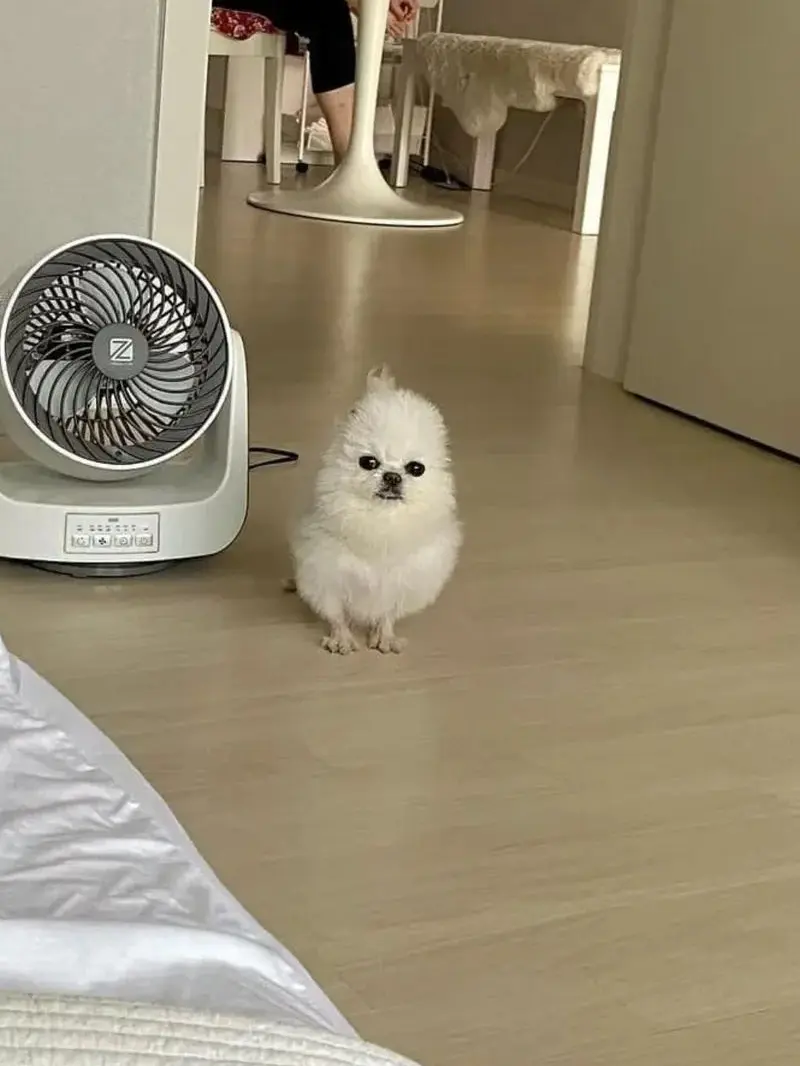 LuckySash3879의 고민상담소