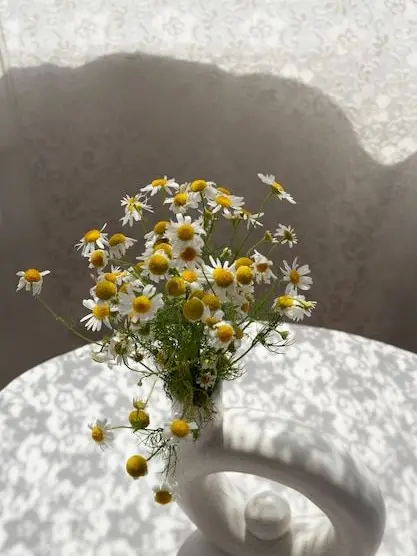 RigidLaser0020의 꽃파당: 조선혼담공작소