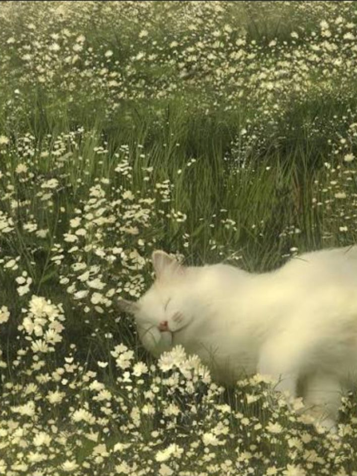 스터디 카페 옆자리 그 선배. 대표 이미지
