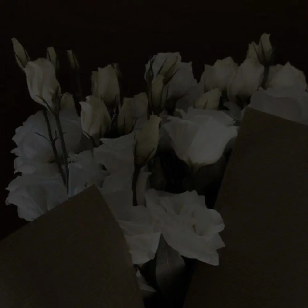 Code_Name-Onyx의 리레볼루션