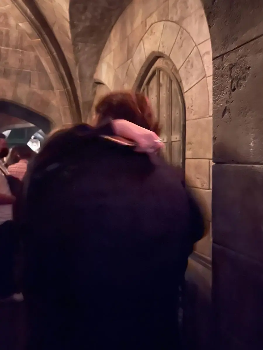 Thehostess의 Harry Potter and the Just Friends