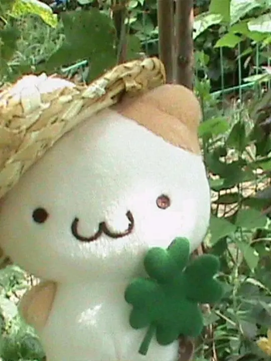 yorybogojorybogodoollydoolly의 리에프 등장!