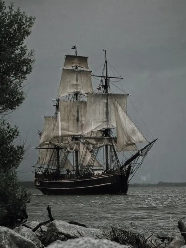 __tazzan__의 Captain veil.