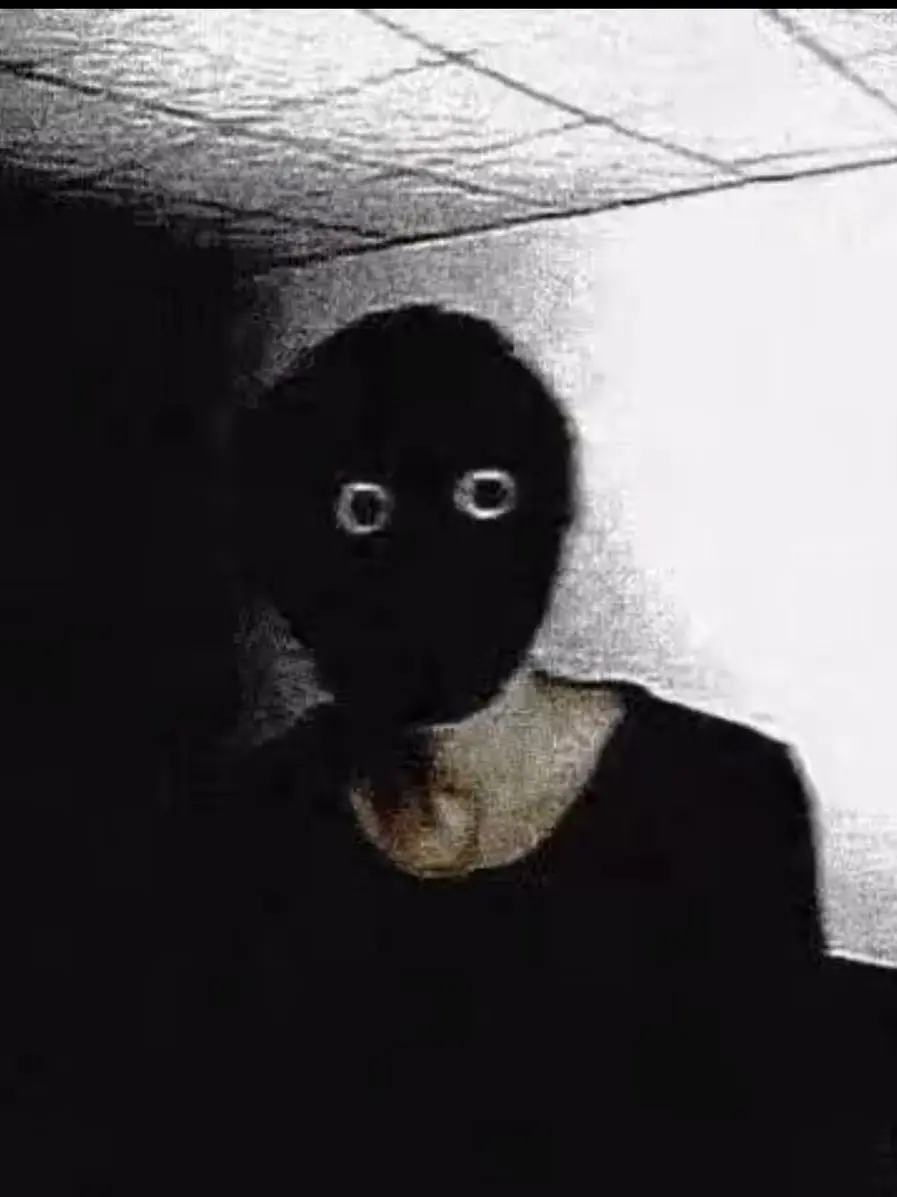 Shiningtinkle의 TO-2Xc6:;¿