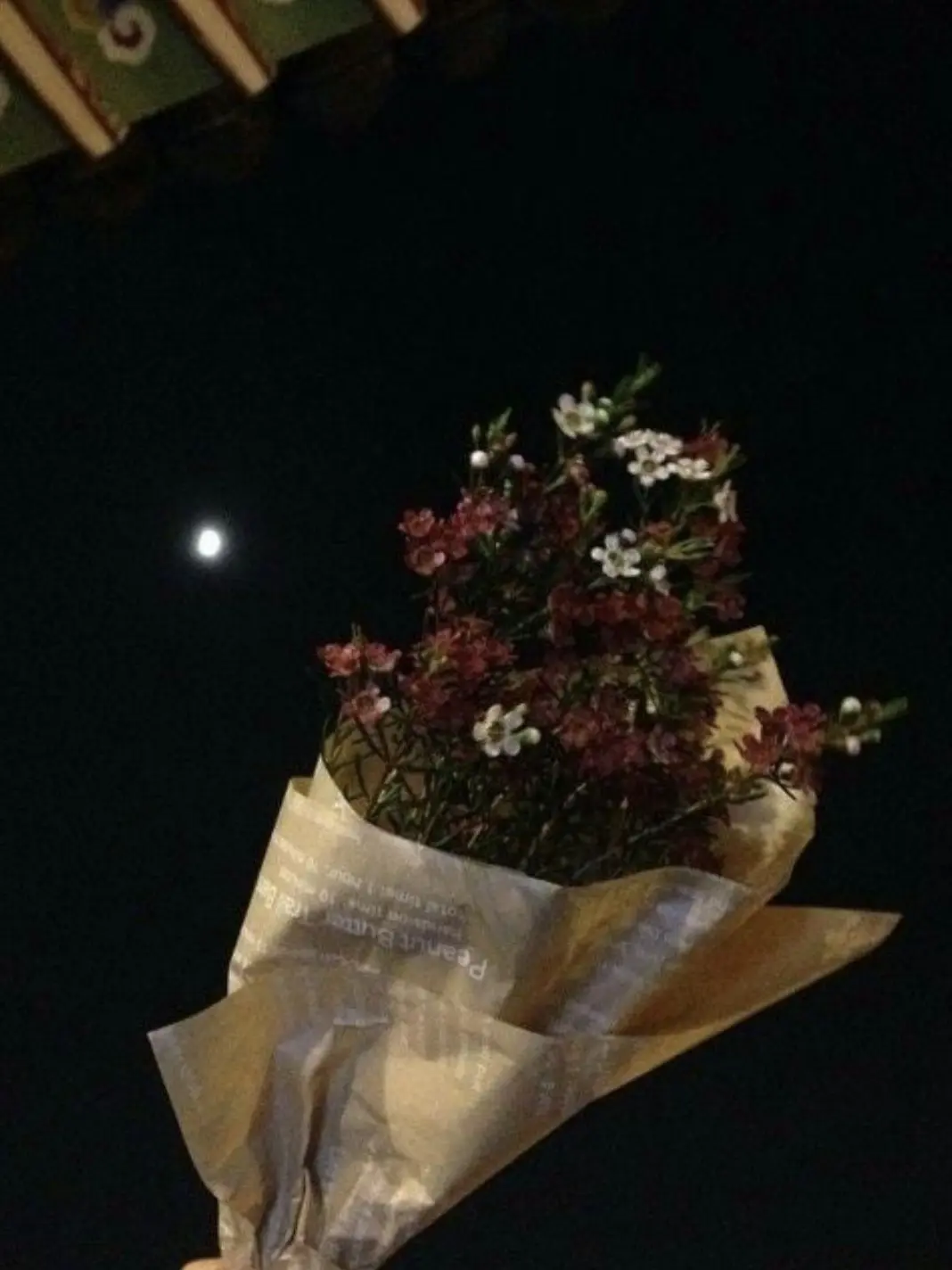 NoisyWolf9978의 {패러다이스} - [하드코어]