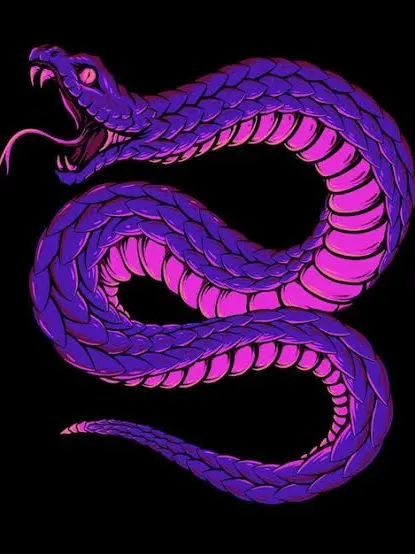 VividPig8724의 골목 속 뱀들.
