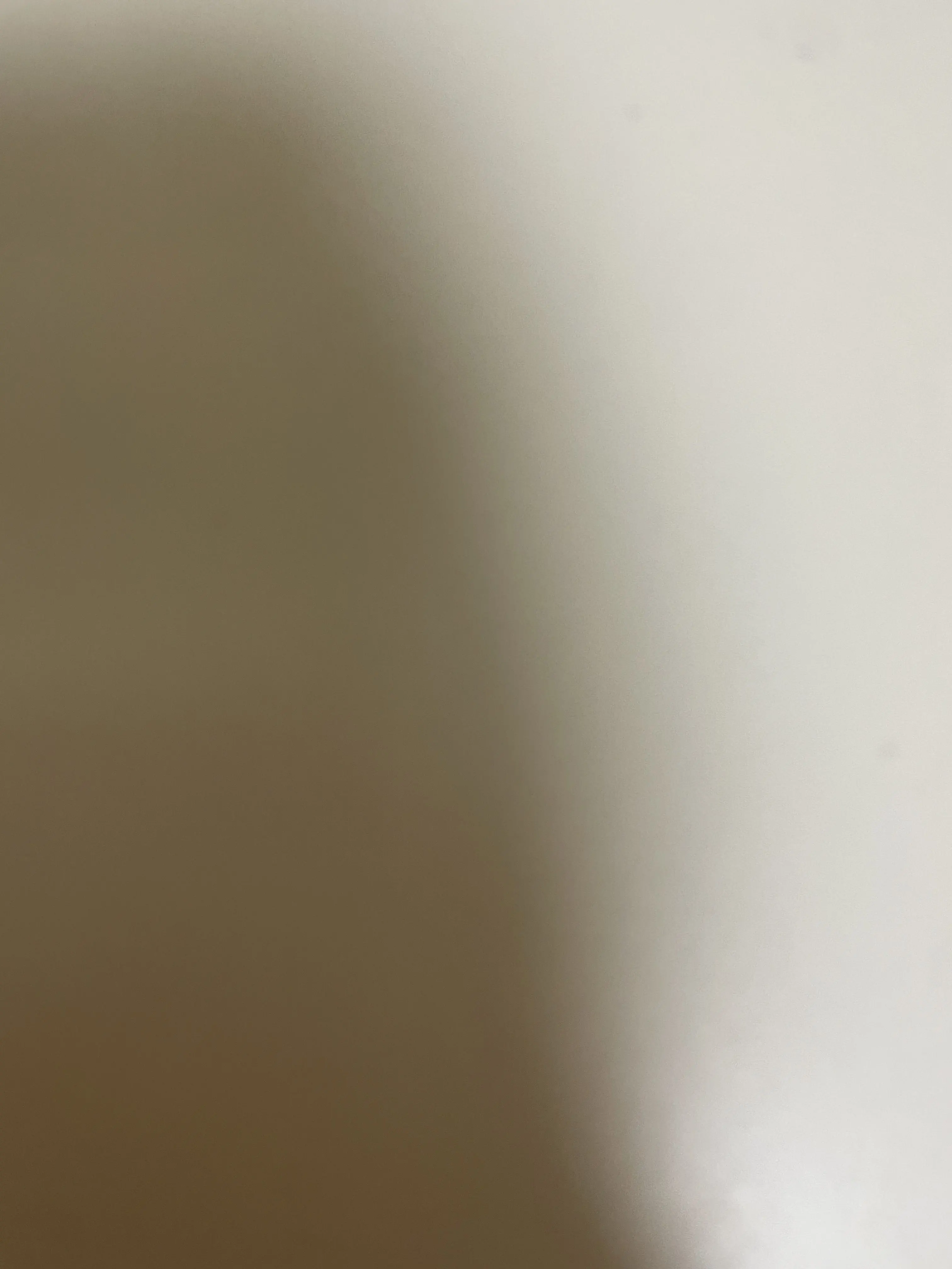 GildedMoose6959의 보넥도 수학여행