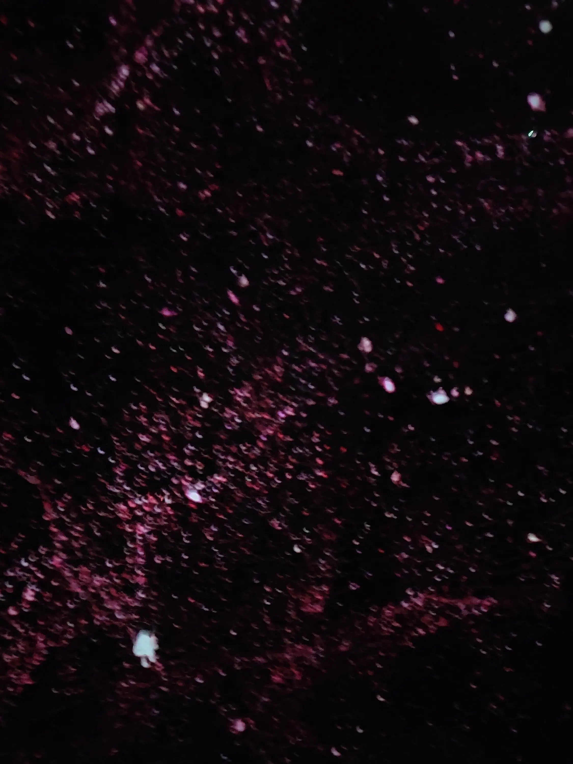 Tiktokomikuji의 「生きて魅せよう。☄︎」