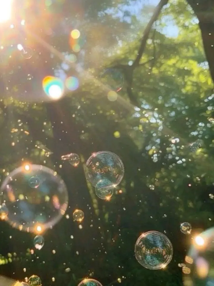 The_people의 마음대로!