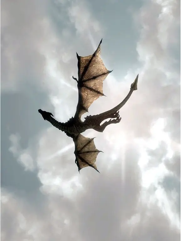 Creativelyquiet의 Dragons