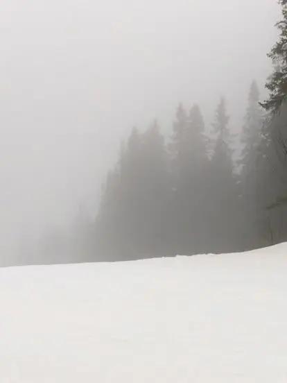 Isitthesameeverytime의 Cold winters cry