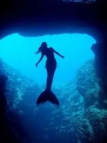 WryTrout9093의 물속 안의 세계란