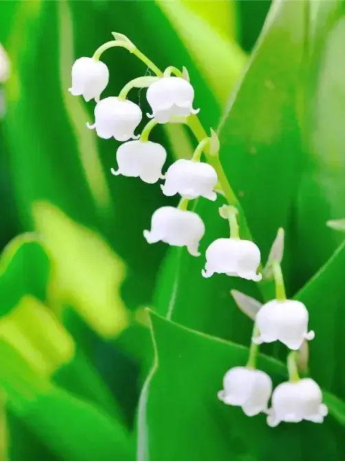 Sakana_cat.28326의 俺たちを愛して