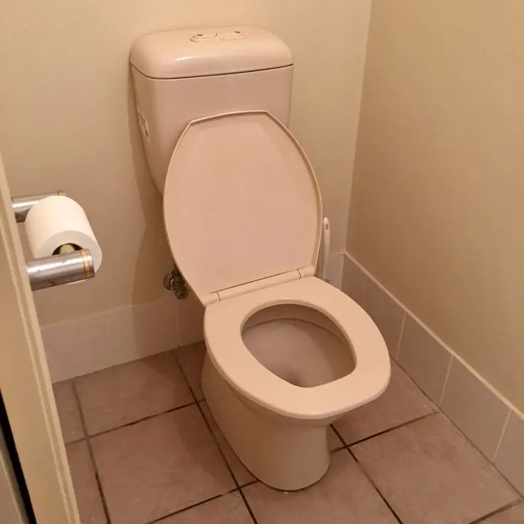 1166의 배탈이 난 아이브..?