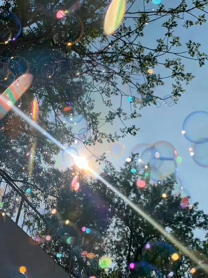 JoJo_lovelove의 우당탕탕 오렌지맛 판나코타