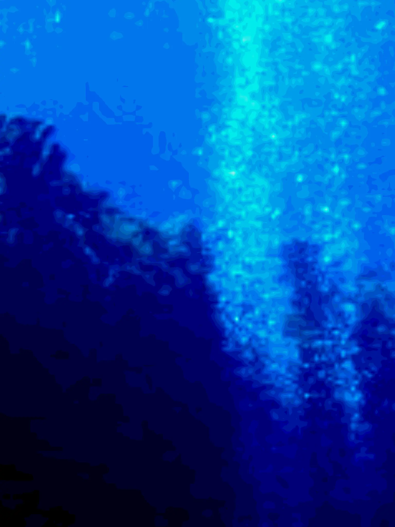 _x20의 海に落ちたら海洋生物に出会った件