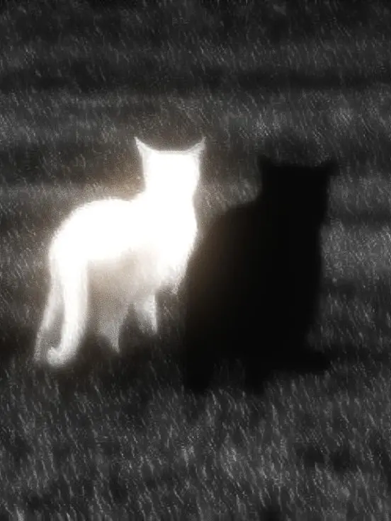 uzzii의 거기 , 아가씨 .