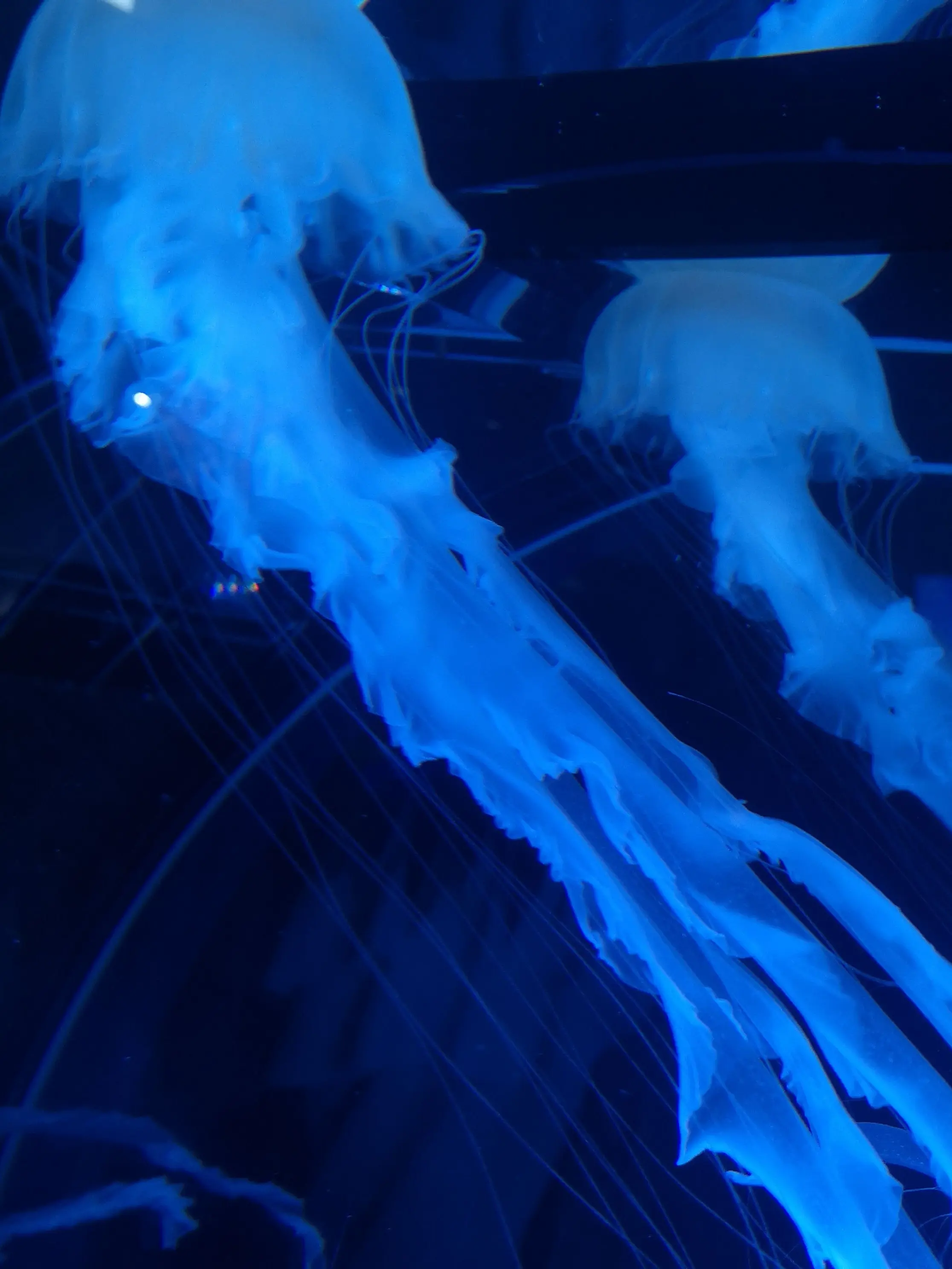 krag_0615의 乱歩さんが1人で依頼に？！