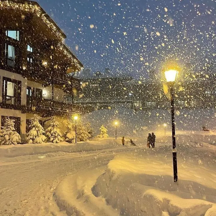 whyleeknow의 황현진