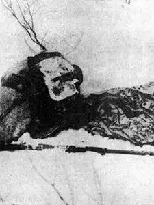 oongye의 八甲田 雪中行軍 遭難事件