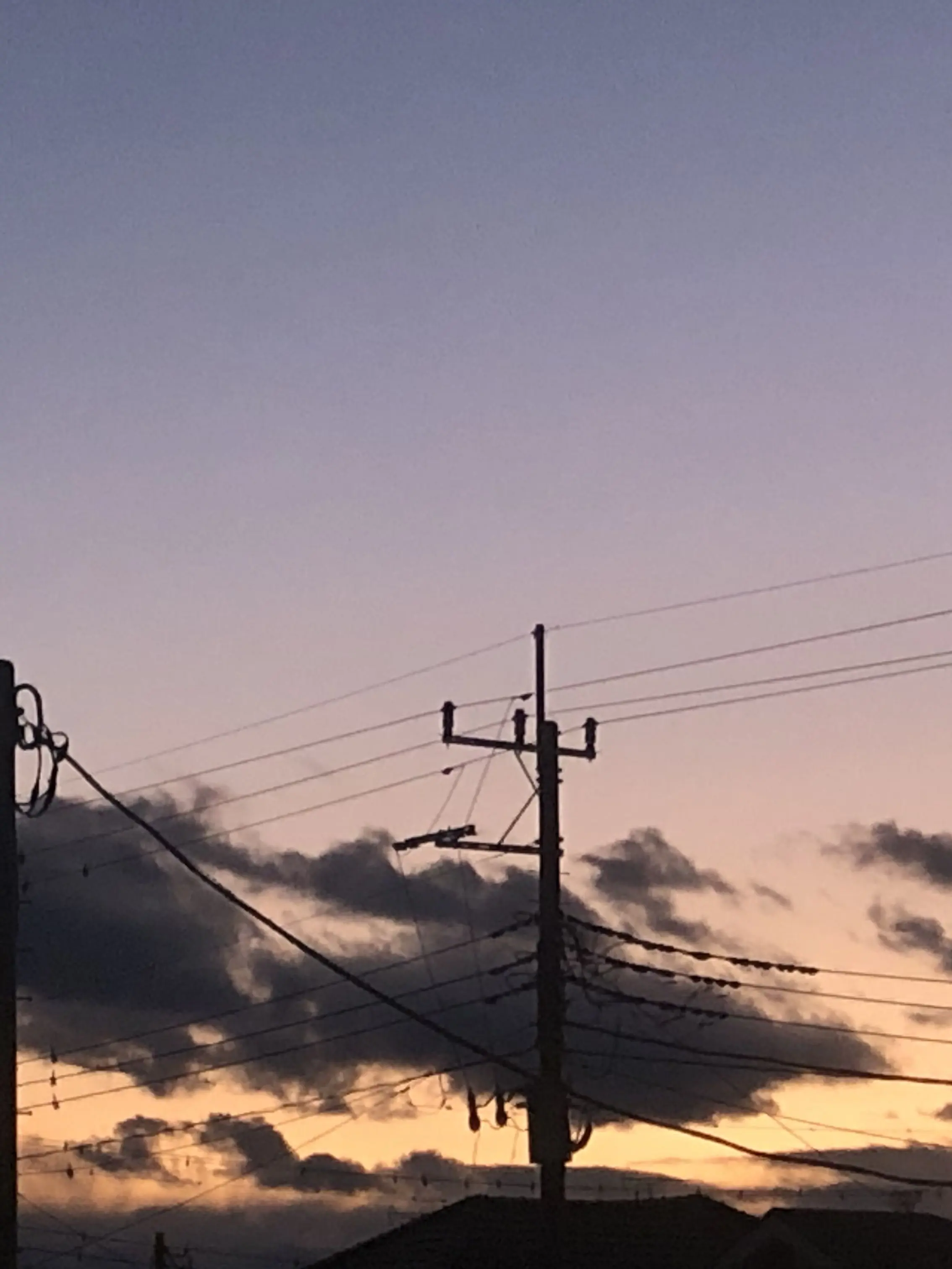 CruelTrail1158의 優しくするからさ_________