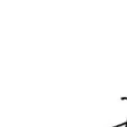 SpongyLever8731의 -