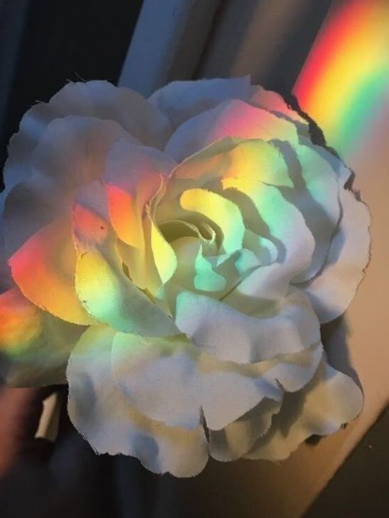 픽셀리🌈 대표 이미지