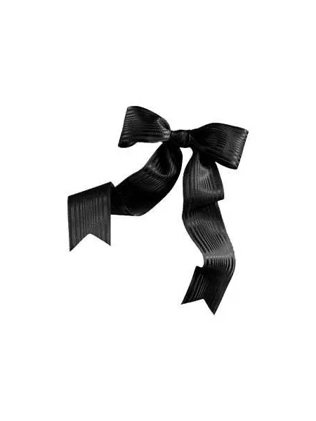 ya_3i_q의 鴉