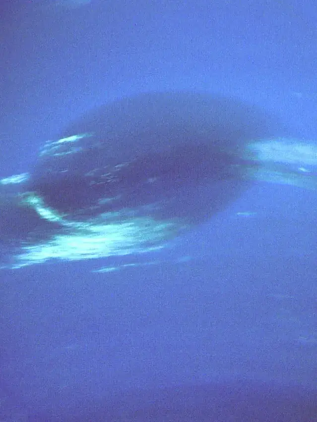 spika0127의 Neptune