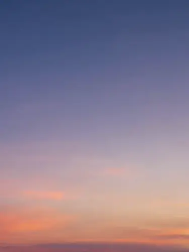 SpikyFlood7485의 ぶり子はforsakenの皆が好き