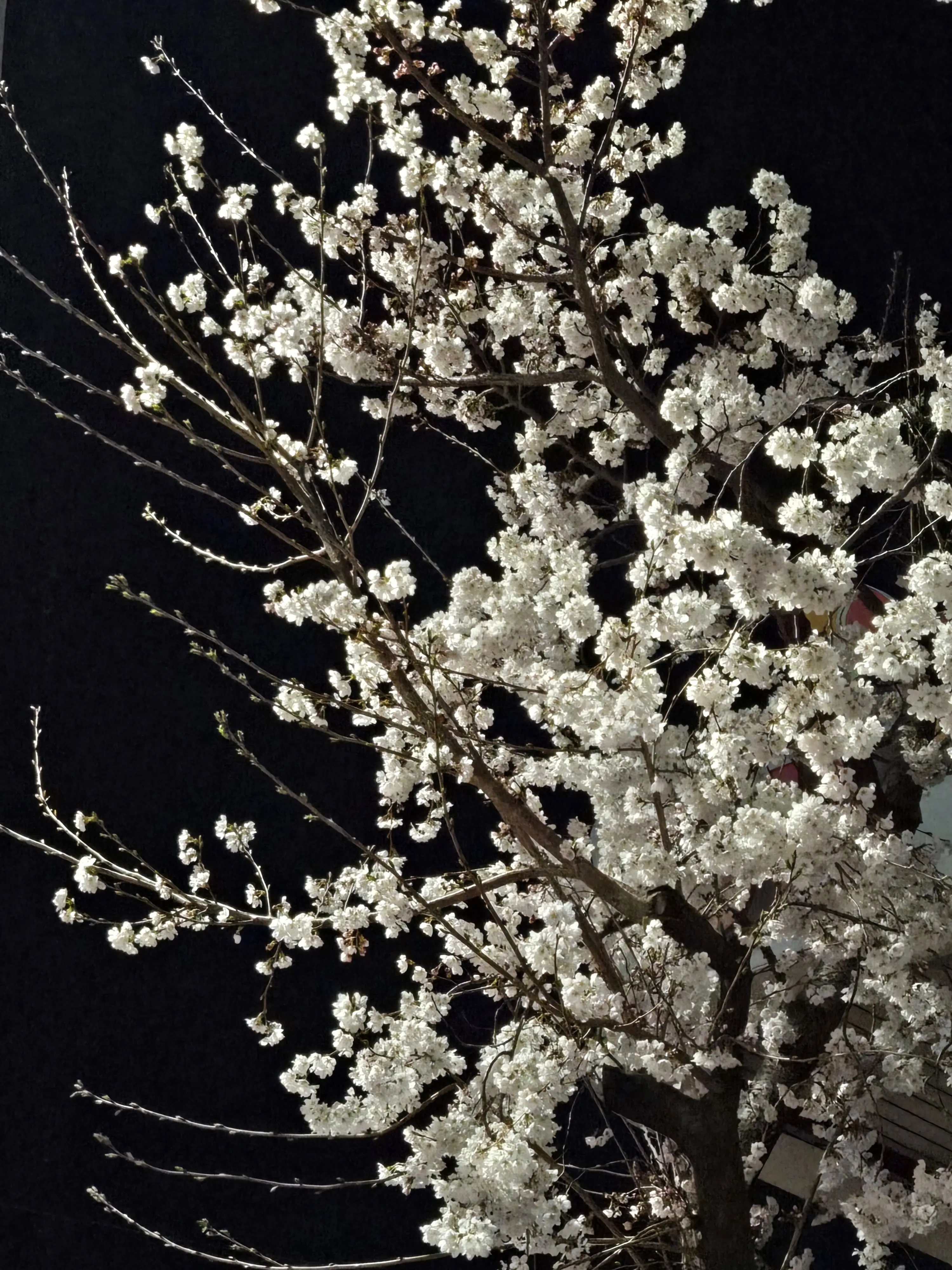 SmallJade9434의 유지민