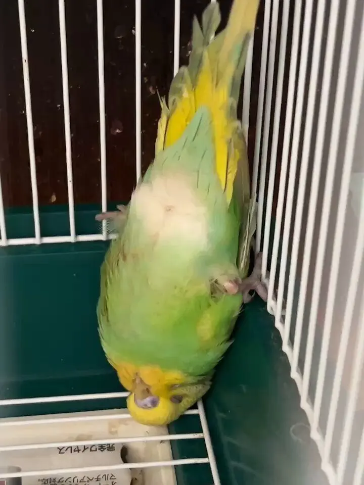 WarmGate8412의 仲良いね