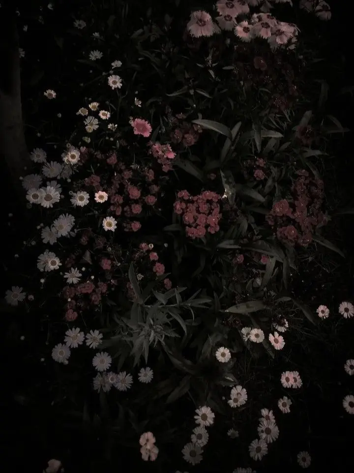 MeekMug6323의 好きな子はモテ男