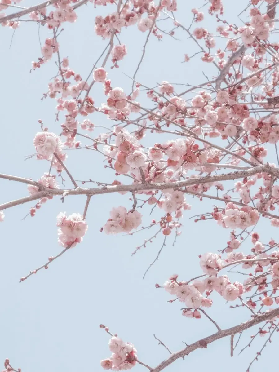 Noji-Thanks의 Down-to-Earth Romance