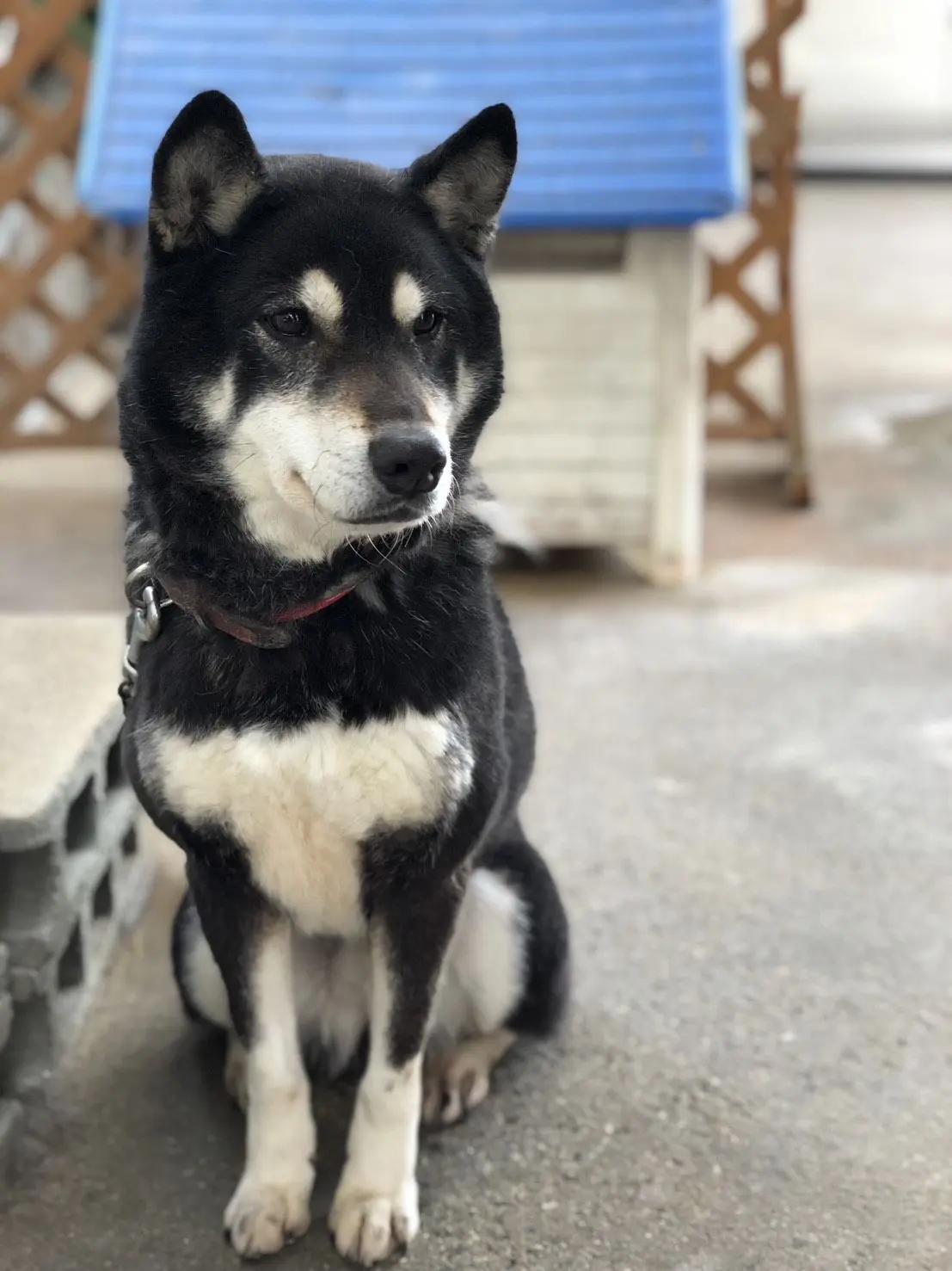 RuggedGoat0328의 （ｾﾞｯﾀｲﾆ見るな!!